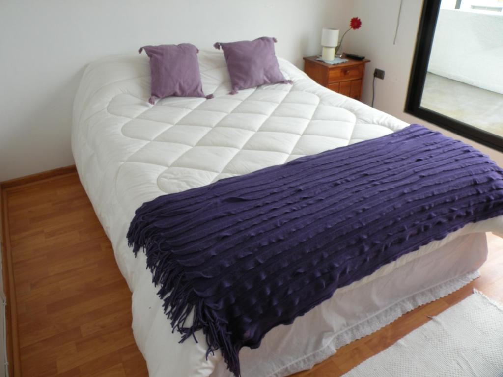 B&B Hostel Casamoro 비냐델마르 객실 사진